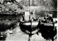 15. MB «Timann» M 46 VA c.jpg