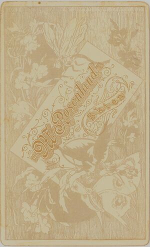 M Rosenland, Skien (Revers).jpg