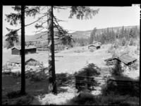 Setergrenda, fotografert i 1951.