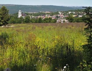 Malmveien mot Røros.jpeg