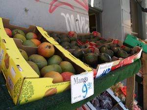 Mango og avokado, Skovveien frukt og gront.JPG