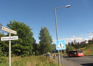 Maria Dehlis vei Oslo 2013.jpg