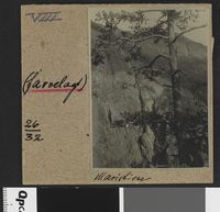 193. Maristien - no-nb digifoto 20160413 00120 bldsa EYDE 5 07A 069.jpg