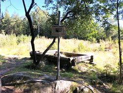 Dagens markering av Stengunhytta ved Tangerud. Merk at skogen fra krigens dager nå er fjernet.