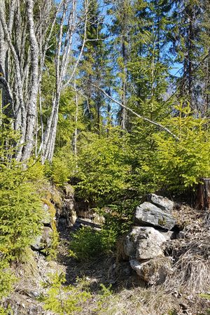 Marteheimen under Stømner ytre, Kongsvinger kommune.jpg