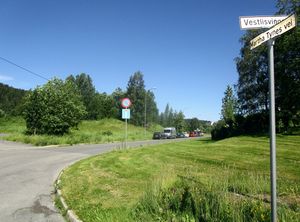 Martha Tynes vei Oslo 2015.jpg