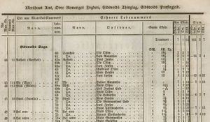 Matrikkelen 1838 Hemli.jpg