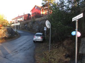 Meklenborgåsen Oslo 2013.jpg