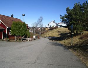 Meklenborglia Oslo 2015.jpg