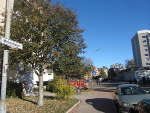 Mellombølgen Oslo 2013.jpg