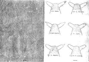 Merkebok Tustna 001-006.png