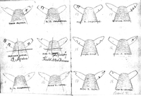 Saumerke for Sørhalsnes, Hagan, Ljustad og Jørenvåg i Saumerkebok for Tustna.