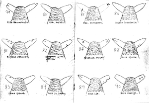 Merkebok Tustna 079-090.png