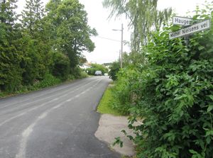 Michel Nielsens vei Oslo 2014.jpg