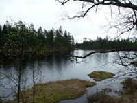 Midtre Fisketjenn fotgrafert fra vestsiden. Midt på bildet ser vi sundet til Nedre Fisketjenn.