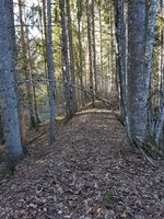 57. Miendammen demning.jpg