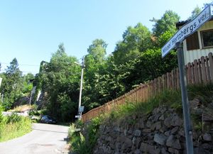 Mikael Hertzbergs vei Oslo 2013.jpg