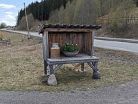 Mjølkerampe ved Billerud i Østre Toten. Foto: Trond Nygård (2020).