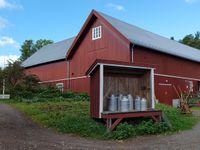 Mjølkerampe på trøndertunet på Norsk Folkemuseum. Foto: Heidi Thöni Sletten (2016).