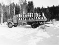 Mjølkeruta i Vang på Hedmarken. Knut Werner Martinsson henta mjølkespanna med sin Mercedes Benz D-20581. Foto: Hedmarksmuseet