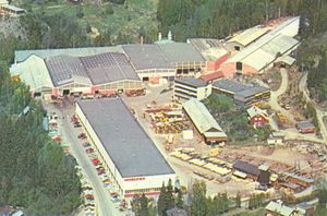 Moelven Brug AS 1974.jpg