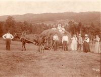 Slåttonn på prestegarden. Soknepresten Ivar Mortensson og familie er med i arbeidet, han er nr. 3 frå høgre. Øyskogen i bakgrunnen. Dato 1910 og fotograf Olav S. Nylid.
