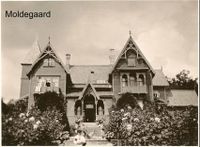 Moldegaard.jpg