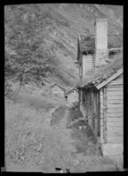 3. Molgarden - no-nb digifoto 20160225 00053 NB MIT FNR 06104.jpg