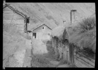 15. Molgarden - no-nb digifoto 20160225 00177 NB MIT FNR 06106.jpg