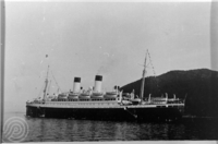 M/S «Monte Rosa» som cruiseskip i Harstad havn. Foto: Sør-Troms Museum (1930-1935).