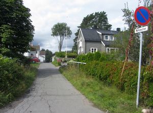 Morenestien Oslo 2014.jpg