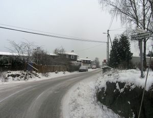 Moserabben Oslo 2014.jpg