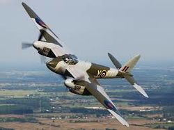 Mosquito jagerbombefly