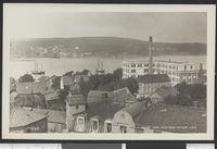 108. Moss. - no-nb digifoto 20150730 00015 bldsa PK30636.jpg