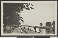 109. Moss - no-nb digifoto 20150730 00023 bldsa PK30721.jpg