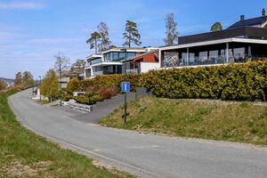 Moss Festelia 230508.jpg