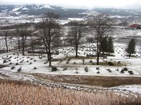 Gravfeltene i skråningen sør for kirka.