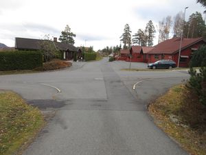 Motiv fra Finkefaret på Borgen Skog i Asker.JPG