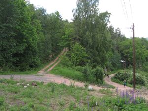 Motiv fra Håøya Vestfold 2011.jpg