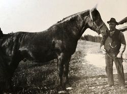 Murmester Sverre Andersen på Tuterud 1936.