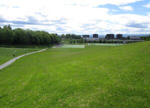 Muselunden Oslo 2015.jpg