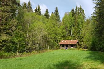 Myra under Rustad nordre huset Kongsvinger kommune 2020.jpg