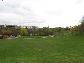 Myraløkka idag, sett mot der hvor teglverket lå. Haugen nederst skjuler verkspipa. Foto: Ida Tolgensbakk (2010).