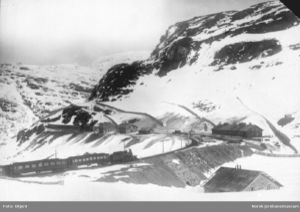 Myrdal, ank tog fra Bergen 1920 NJM.jpeg