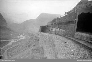 Myrdal. Flåmsbanens linjeføring ut fra stasjonen. Svend Jørgensen NJM.jpg