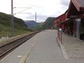 Myrdal stasjon Flamsbana.jpg