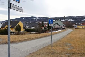 Myreveien Drammen 2016.jpg