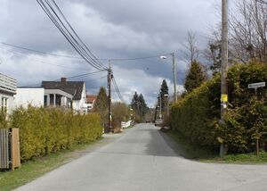 Myrvangveien Bærum 2016.jpg