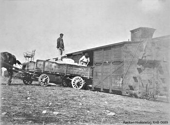 NÆRSNESIS SENDES VIDERE MED TOG ca. 1900 .Is fra Nærsnes transportert med hest og vogn fra havna til lasting over i jernbanevogn i en europeisk havneby. I de fleste Europeiske havnebyer var det spesielle lagerhus for is. Noen av disse var også eid av norske interesser. Havnebyen var ikke bestandig siste stopp for isen. Noe ble sendt viderer til andre steder. (Foto Røyken Historielag, fotograf ukjent)