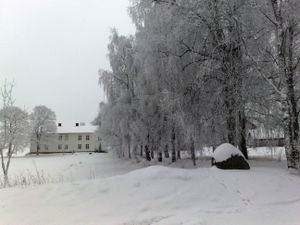 Nøkleberg bjørker bygning.jpg